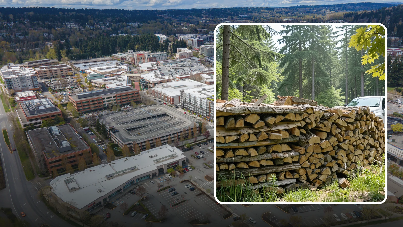 Commercial Firewood Supply in Redmond, King County, WA - We provide reliable, high-volume firewood supply to businesses that need consistent quality and dependable delivery schedules.