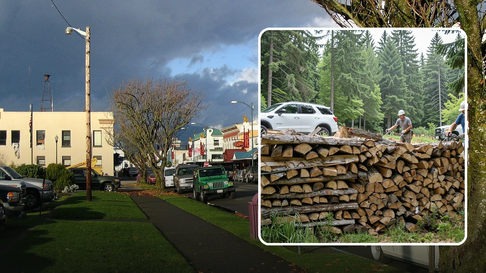 Custom Firewood Lengths in Arlington, Snohomish County, WA - Custom-cut firewood lengths tailored to the exact dimensions of your firebox.