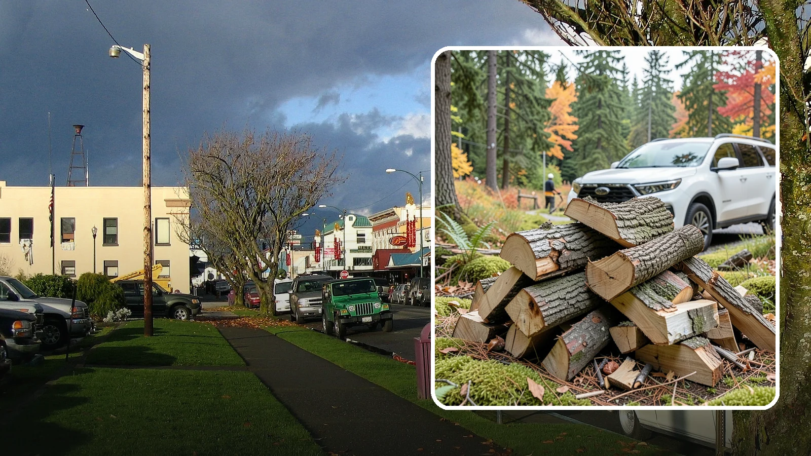 Fatwood in Arlington, Snohomish County, WA - Resin-rich fatwood that ignites easily and burns hot to start fires even in soggy conditions.