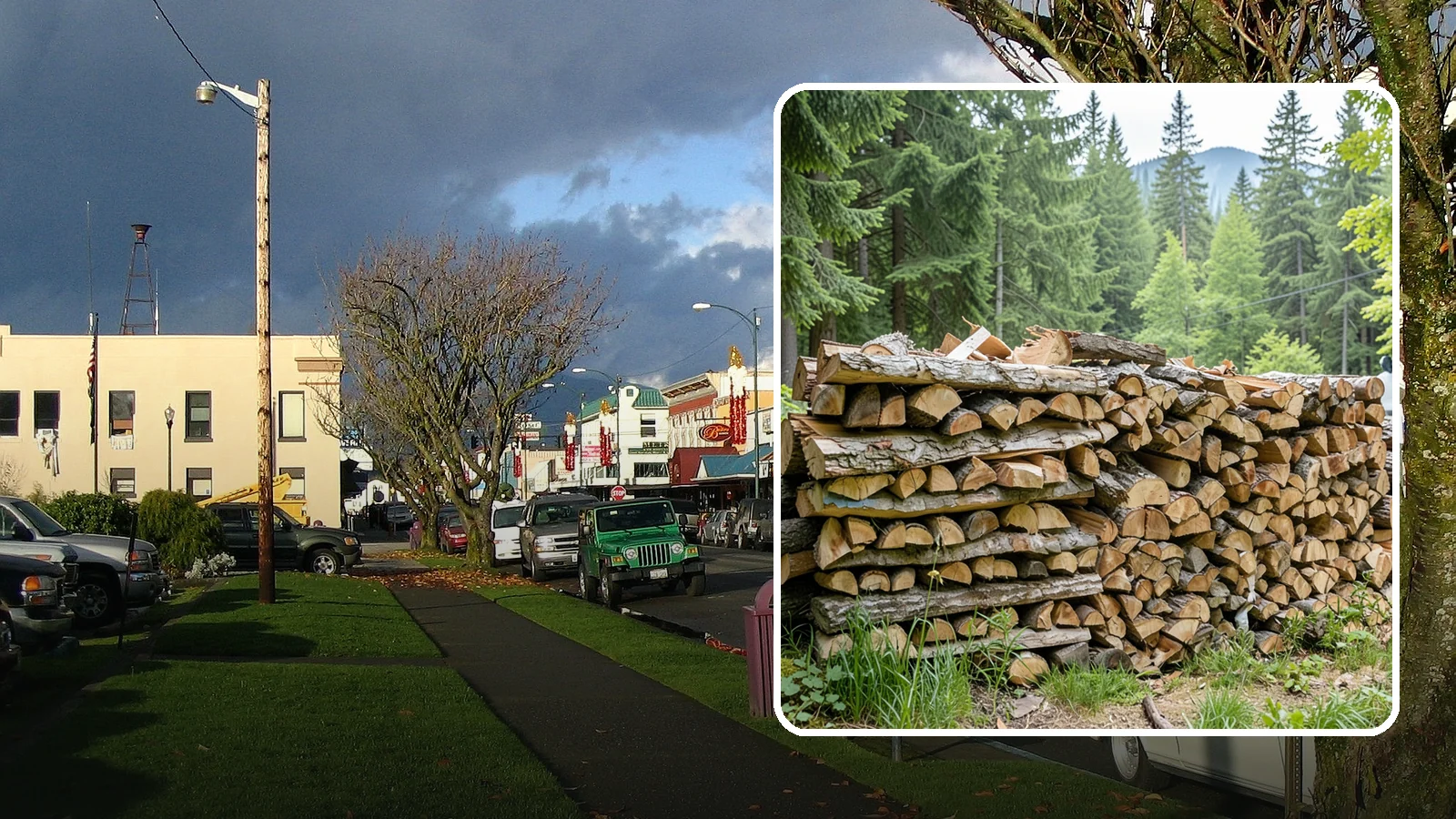 Fireplace-Size Firewood in Arlington, Snohomish County, WA - Firewood cut to a comfortable fireplace length for easy loading and an even burn.