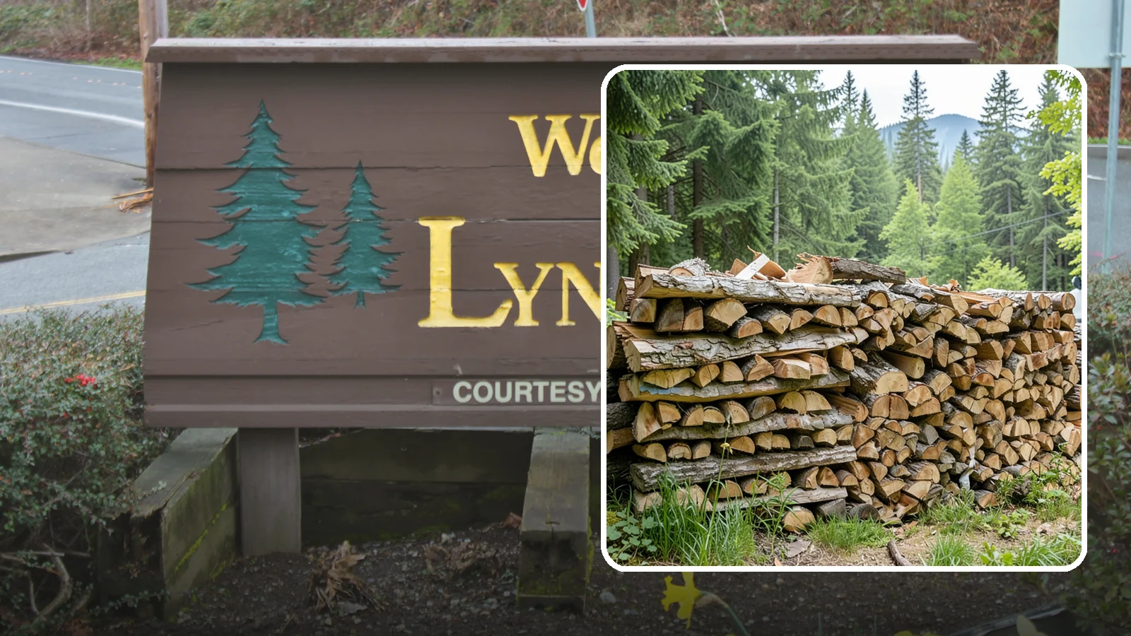 Fireplace-Size Firewood in Lynnwood, Snohomish County, WA - Firewood cut to a comfortable fireplace length for easy loading and an even burn.