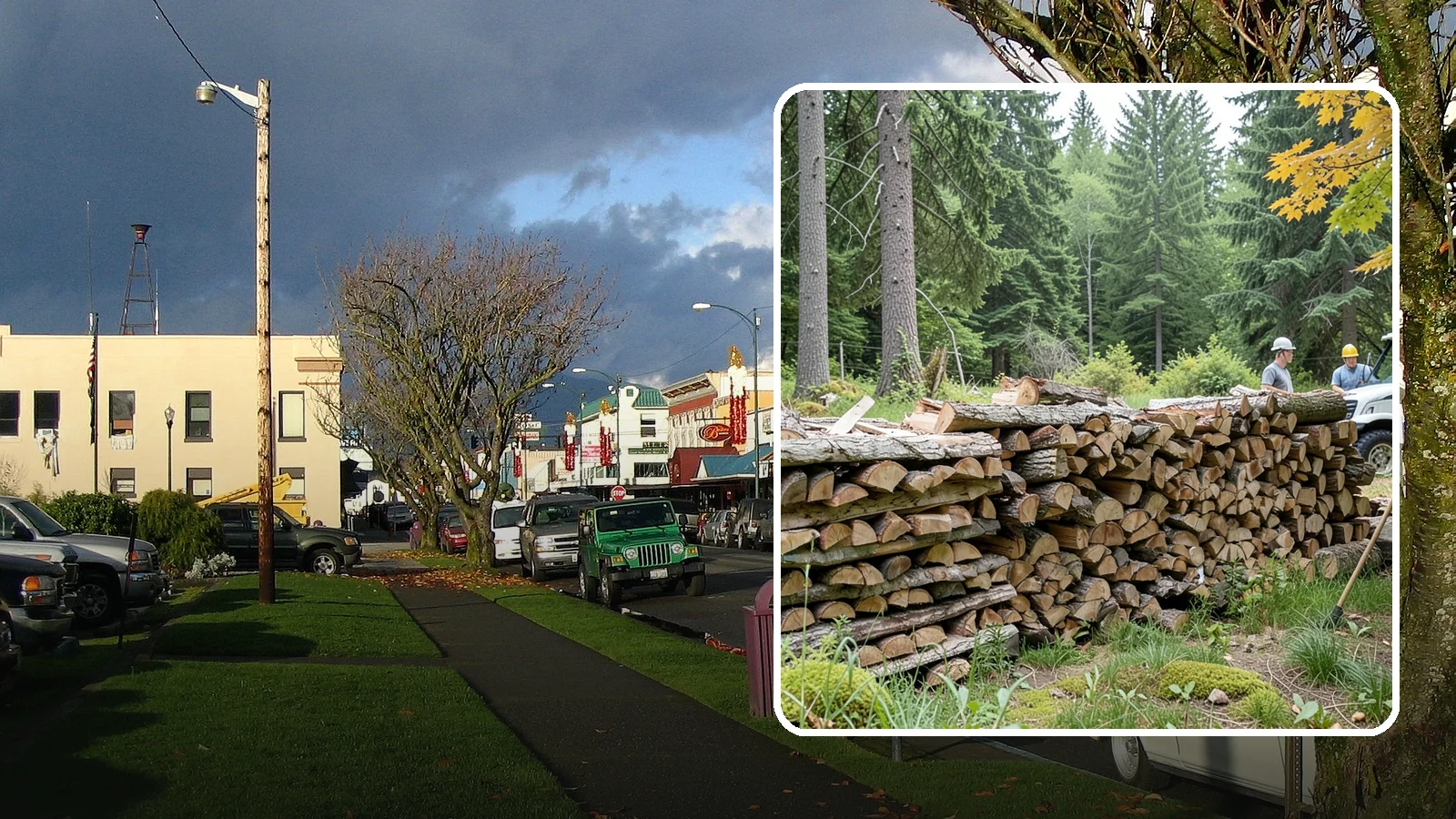 Firewood Area Cleanup in Arlington, Snohomish County, WA - We give your entire firewood zone a full reset, clearing debris, scraps, and clutter from top to bottom.