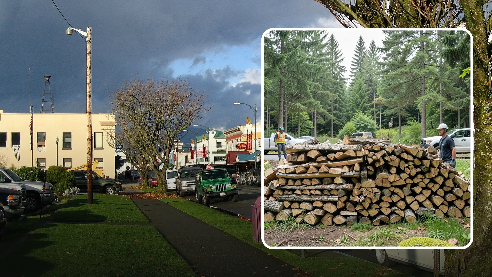 Firewood Debris Cleanup in Arlington, Snohomish County, WA - We clear the scattered scraps, splinters, and leftover mess that pile up around a busy Pacific Northwest wood pile.