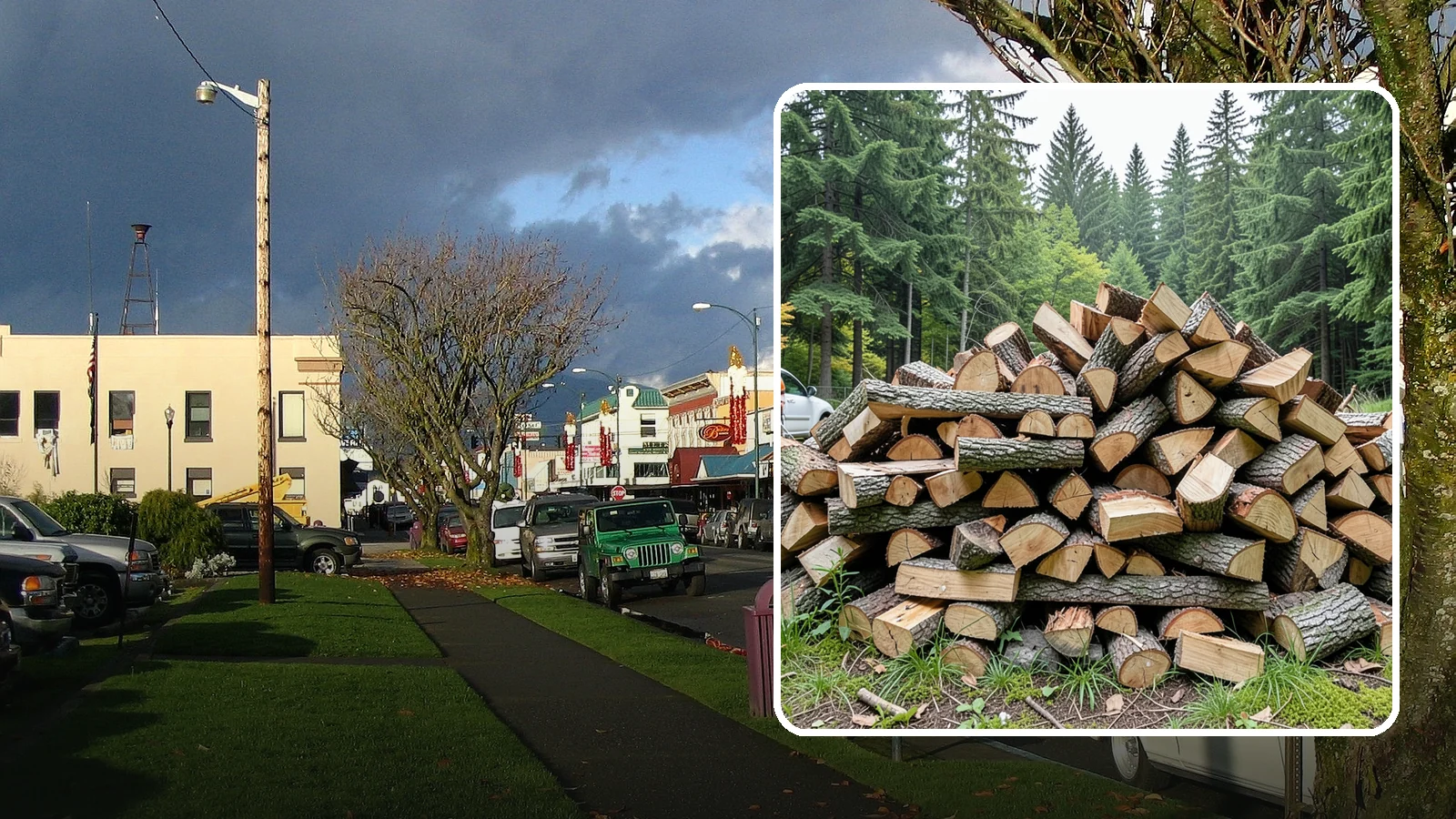 Firewood Disposal in Arlington, Snohomish County, WA - Our firewood disposal service hauls away old, unwanted, or unusable wood so you can reclaim your space.
