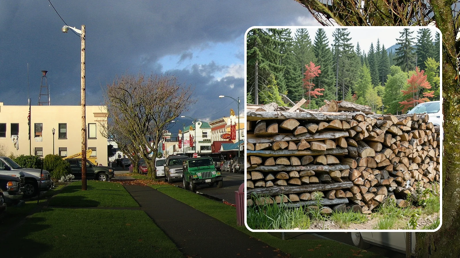 Firewood Wholesale Supply in Arlington, Snohomish County, WA - Our firewood wholesale supply provides retailers and resellers with dependable volume, consistent quality, and pricing built for...