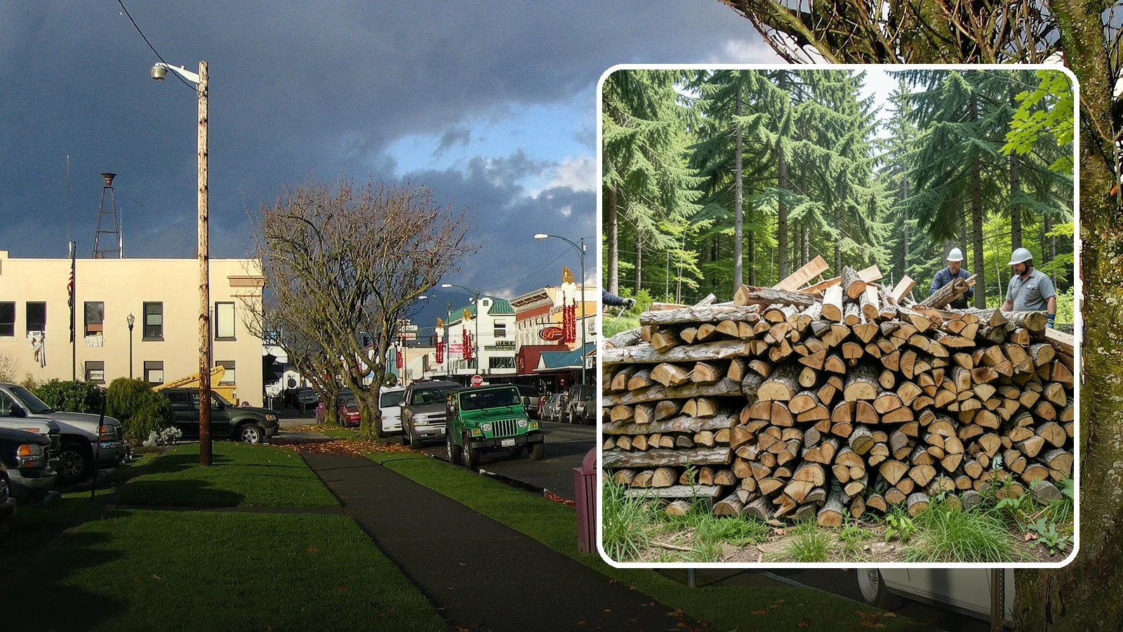Fully Seasoned Firewood in Arlington, Snohomish County, WA - Long-cured firewood that is ready to load into your stove or fireplace right away.
