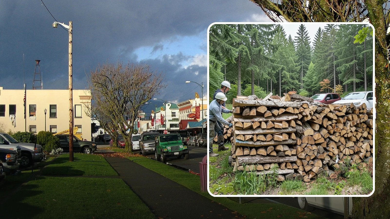 Green Firewood in Arlington, Snohomish County, WA - Our green firewood is freshly cut and unseasoned, sold at a lower price for buyers who plan to dry it themselves before burning.