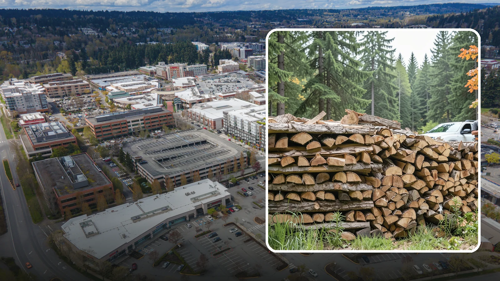Indoor Firewood Stocking in Redmond, King County, WA - We keep a tidy indoor supply of firewood stocked near your stove or fireplace so a dry load is always within arm's reach.