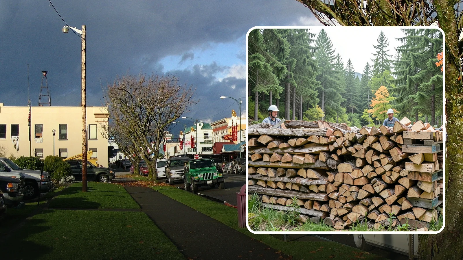 Palletized Firewood in Arlington, Snohomish County, WA - Firewood stacked and secured on pallets for clean handling, easy storage, and forklift transfer.