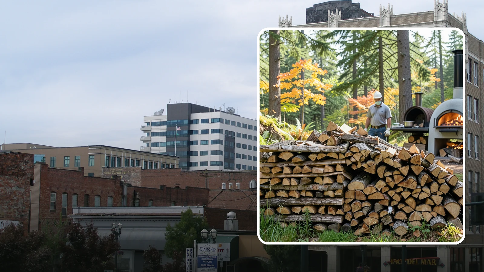 Pizza Oven Wood in Everett, Snohomish County, WA - Compact, ultra-dry wood cut to fit wood-fired pizza ovens and reach high baking temperatures fast.
