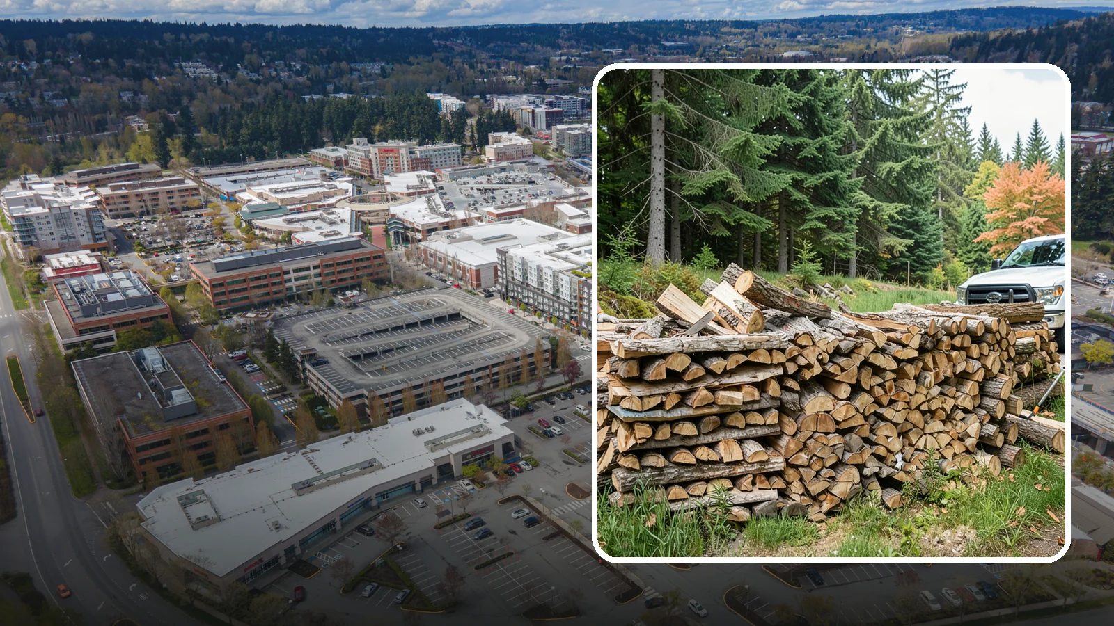 Premium Mixed Firewood in Redmond, King County, WA - Our premium mixed firewood balances fast-lighting and long-burning wood in one carefully dried load for versatile, all-purpose...