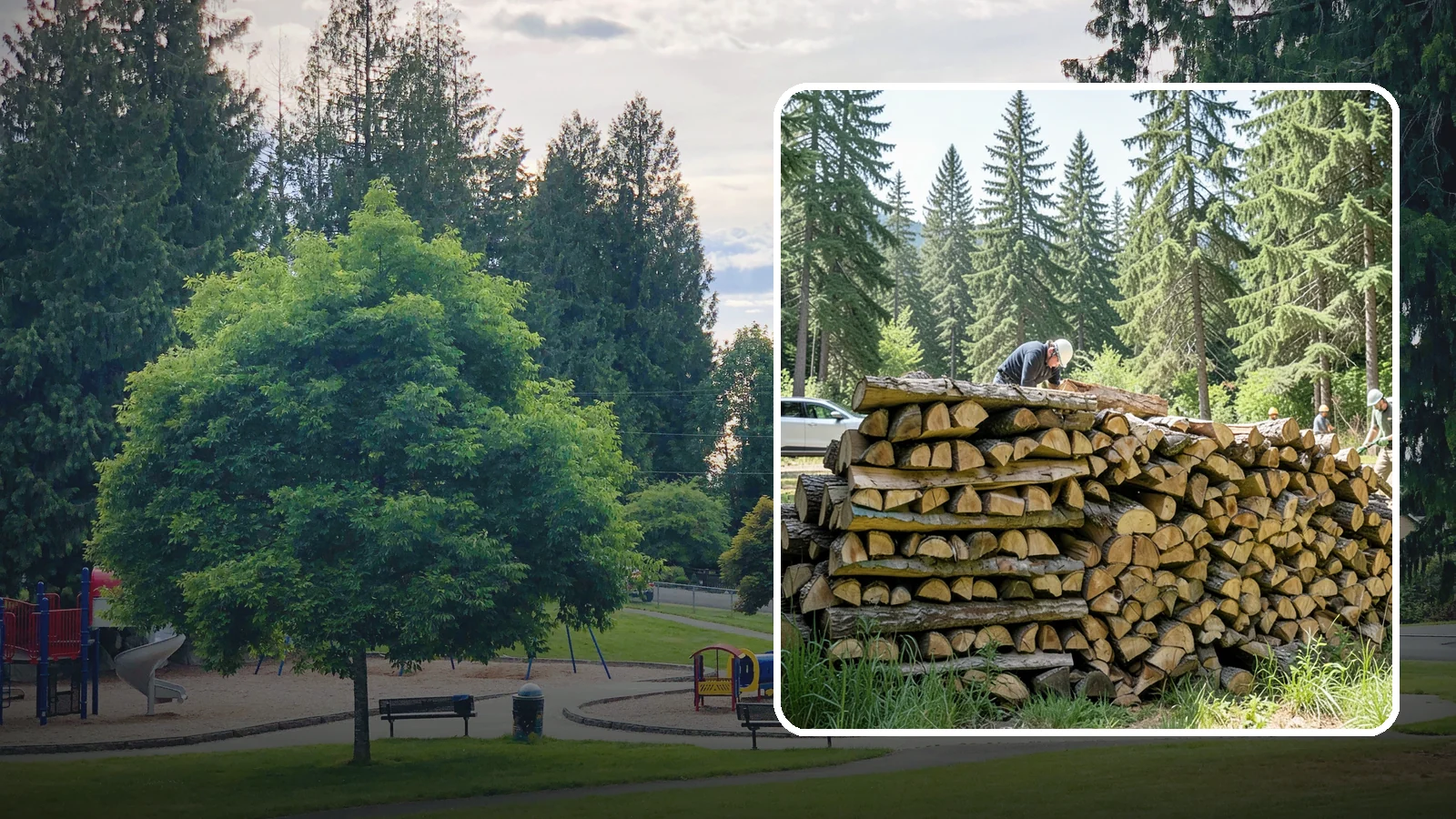 Rick of Firewood in Bonney Lake, Pierce County, WA - A rick of firewood, a stacked row of wood offering a flexible mid-size quantity for home burning.