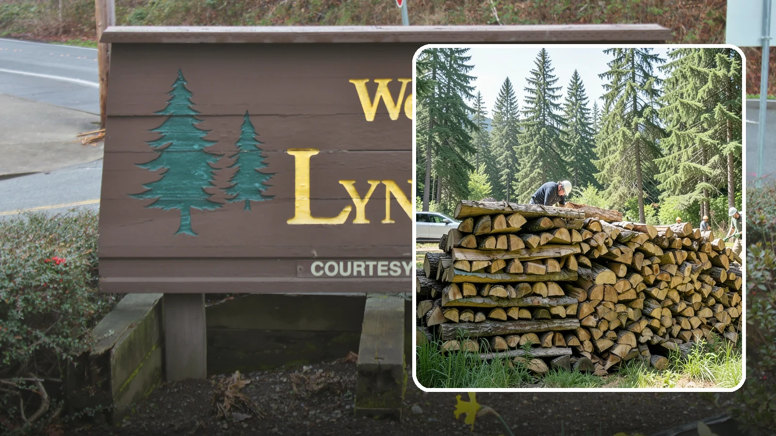Rick of Firewood in Lynnwood, Snohomish County, WA - A rick of firewood, a stacked row of wood offering a flexible mid-size quantity for home burning.