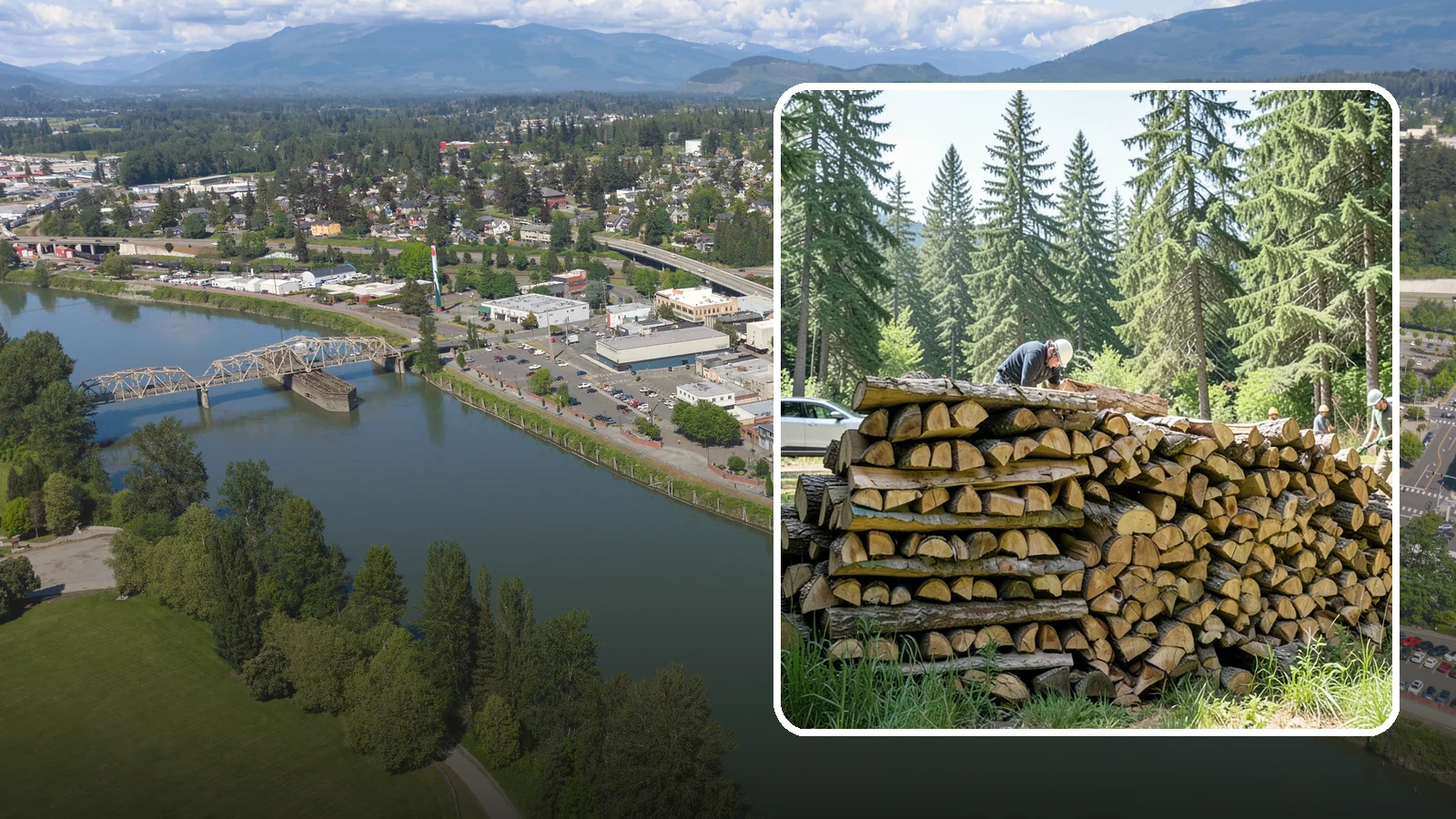 Rick of Firewood in Mount Vernon, Skagit County, WA - A rick of firewood, a stacked row of wood offering a flexible mid-size quantity for home burning.