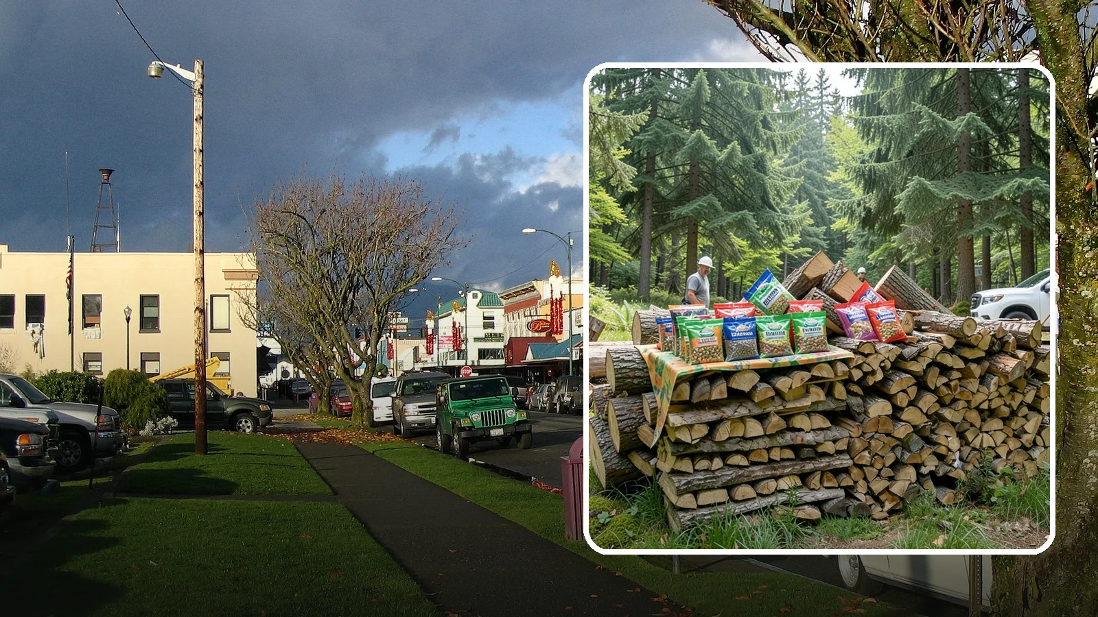 Summer Seasoning Packages in Arlington, Snohomish County, WA - Warm-season firewood packages designed to cure over summer and be ready by winter.