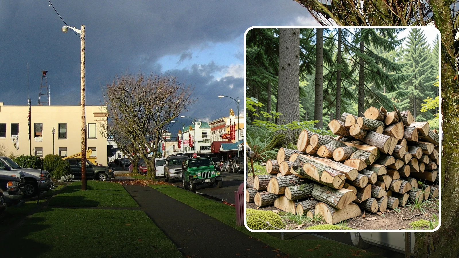Sustainable Firewood in Arlington, Snohomish County, WA - We supply firewood sourced with care for the Pacific Northwest forests and communities that produce it.