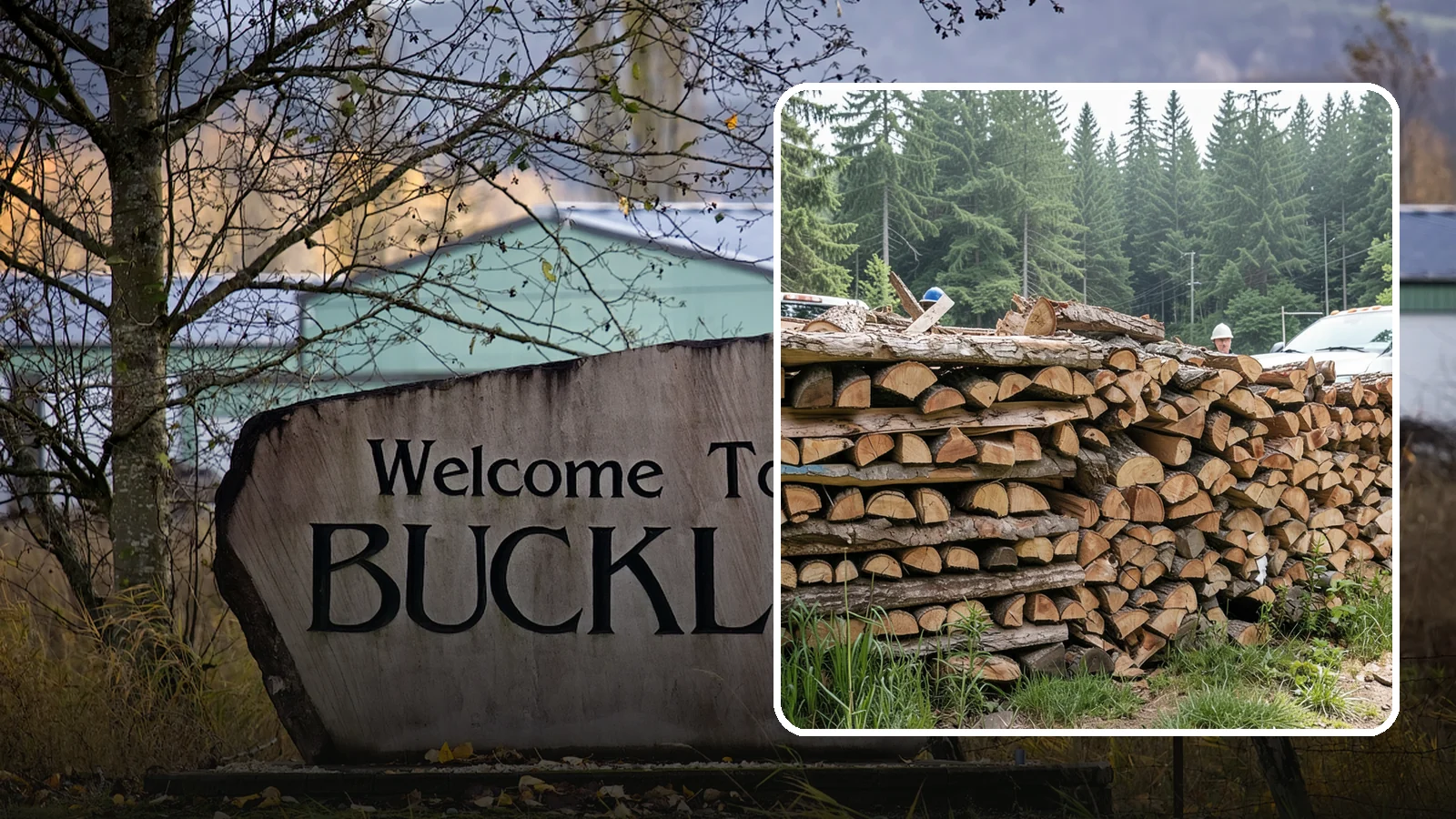 Truckload Firewood in Buckley, Pierce County, WA - A full truckload of firewood delivered in bulk for heavy burners and larger properties.