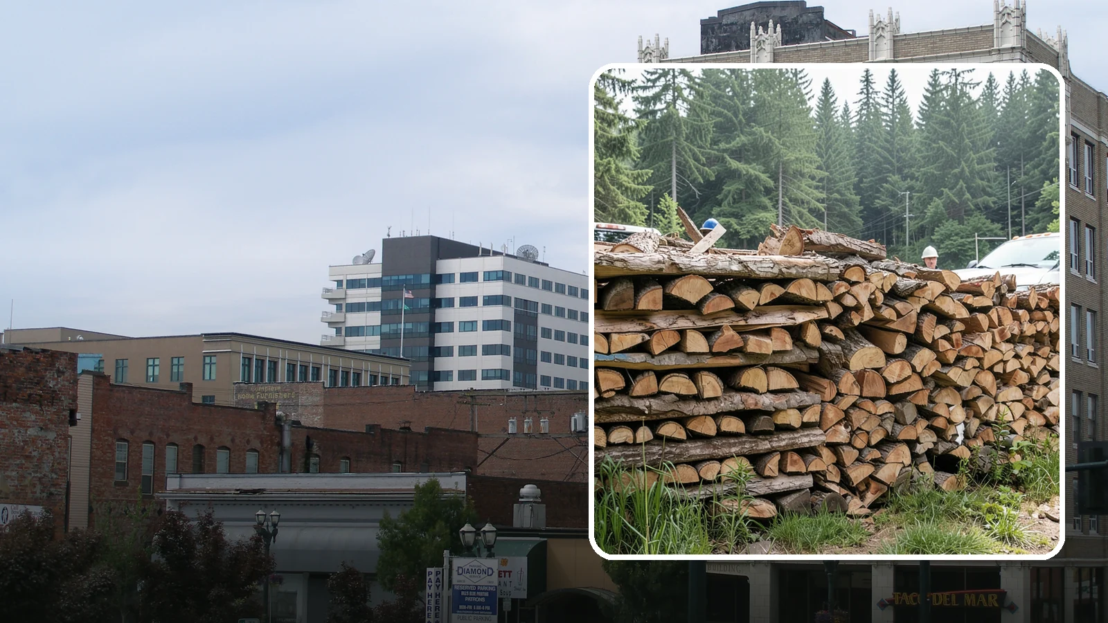 Truckload Firewood in Everett, Snohomish County, WA - A full truckload of firewood delivered in bulk for heavy burners and larger properties.