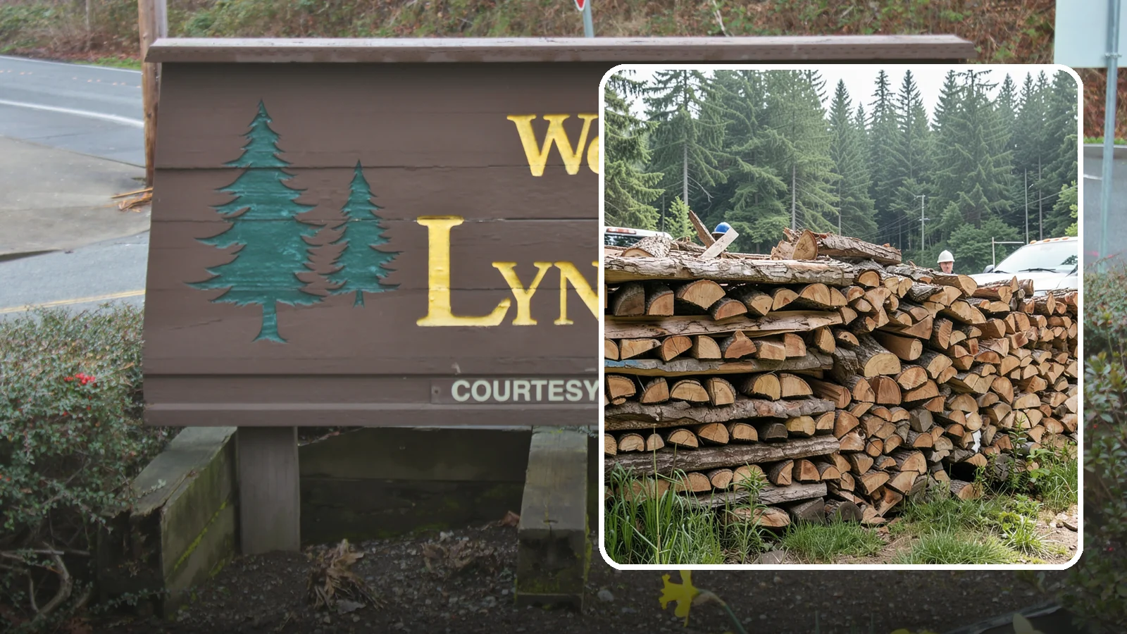 Truckload Firewood in Lynnwood, Snohomish County, WA - A full truckload of firewood delivered in bulk for heavy burners and larger properties.