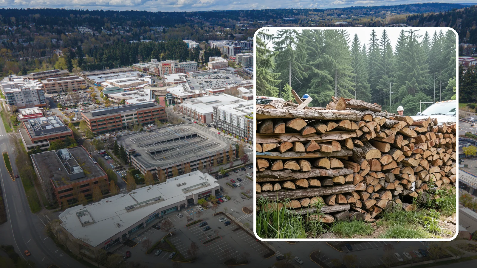 Truckload Firewood in Redmond, King County, WA - A full truckload of firewood delivered in bulk for heavy burners and larger properties.