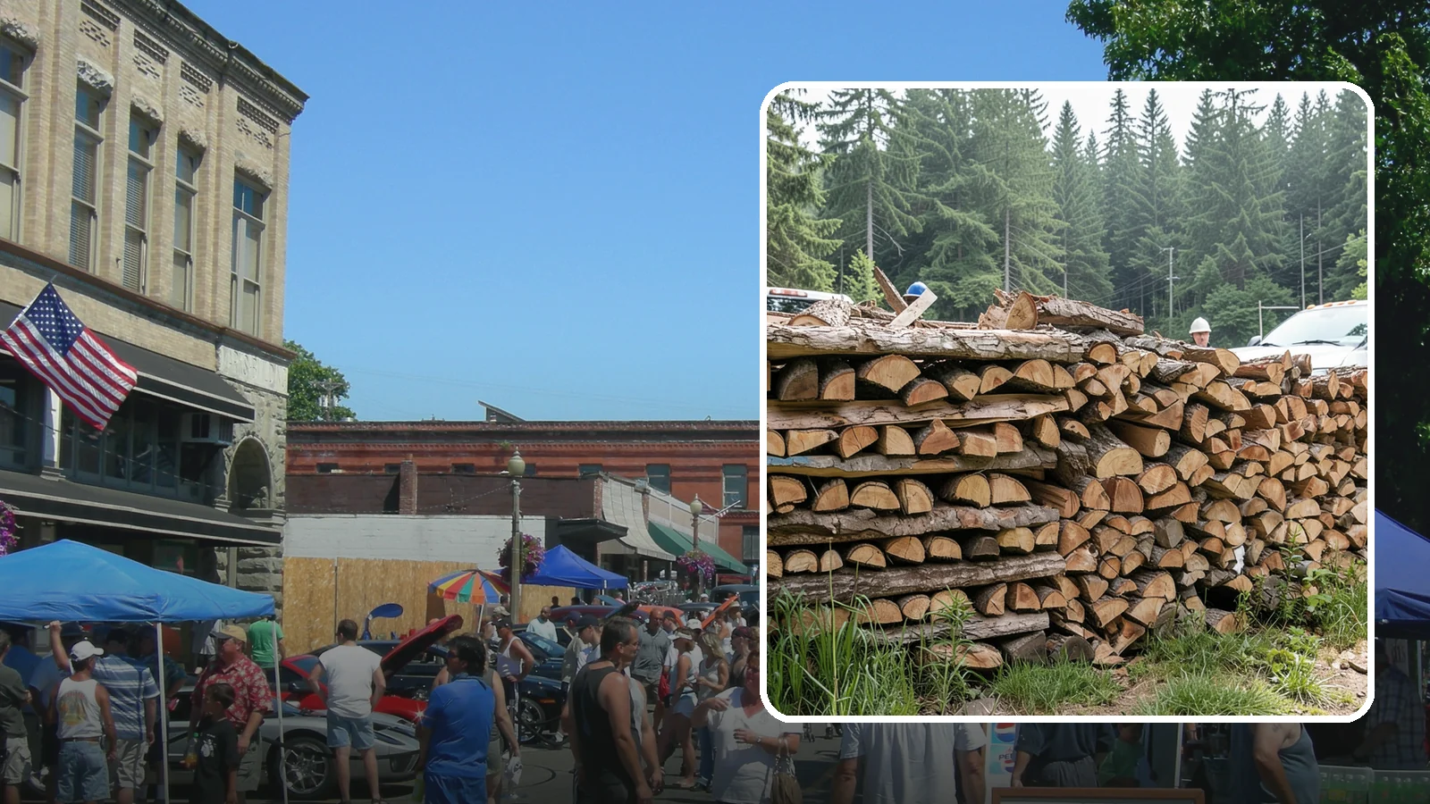 Truckload Firewood in Snohomish, Snohomish County, WA - A full truckload of firewood delivered in bulk for heavy burners and larger properties.