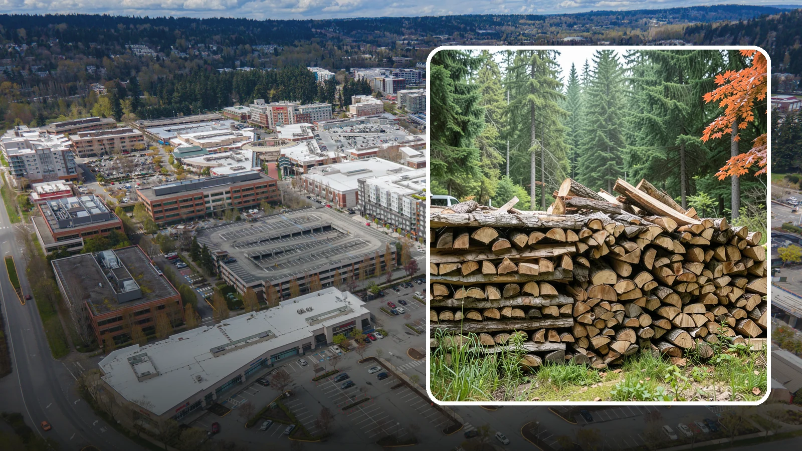Two Cord Firewood in Redmond, King County, WA - Two full cords of seasoned firewood for households that rely on wood as a primary heat source.