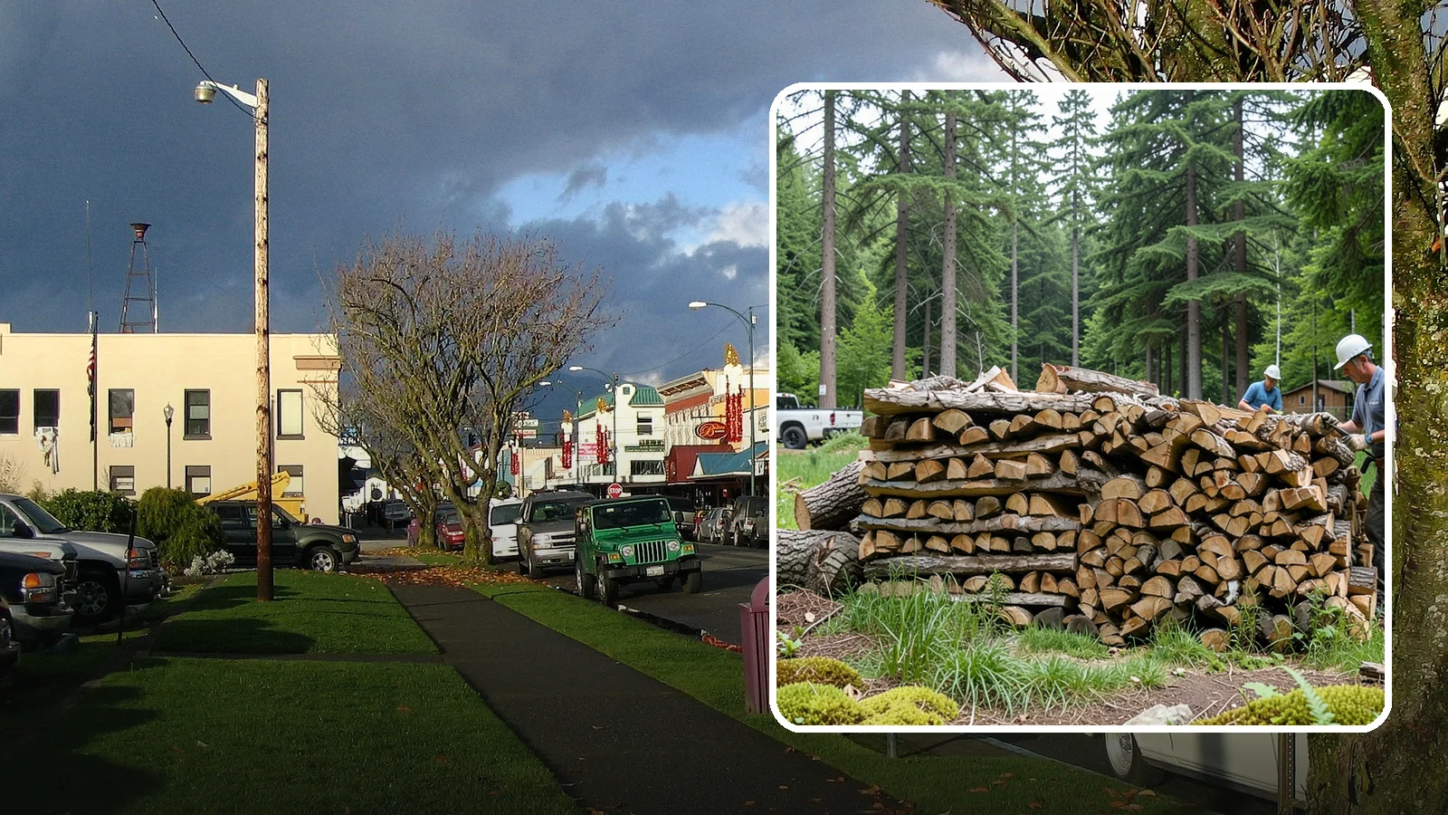 Ultra-Dry Firewood in Arlington, Snohomish County, WA - Extra-low-moisture firewood cured well below standard levels for the cleanest possible burn.