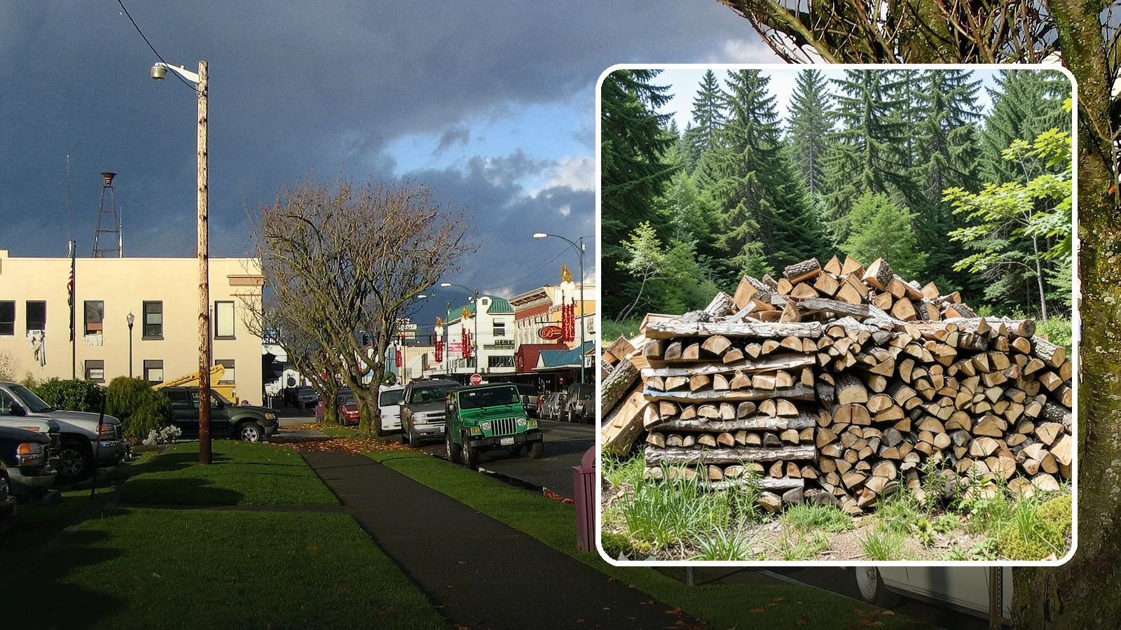 Wood Chip Cleanup in Arlington, Snohomish County, WA - We remove the chips and fine splitting fragments left behind wherever firewood is cut, split, or handled.