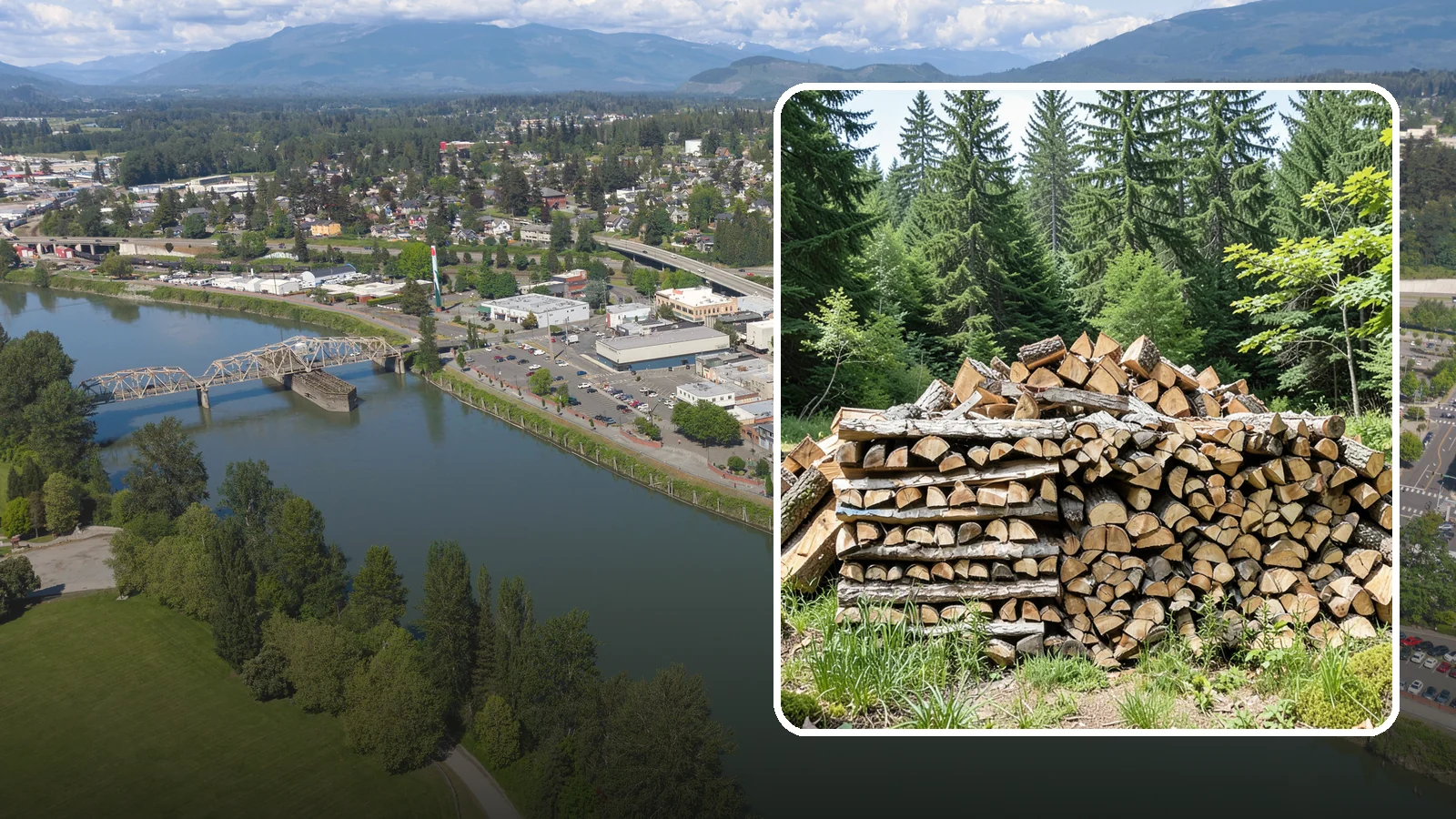 Wood Chip Cleanup in Mount Vernon, WA - We remove the chips and fine splitting fragments left behind wherever firewood is cut, split, or handled.