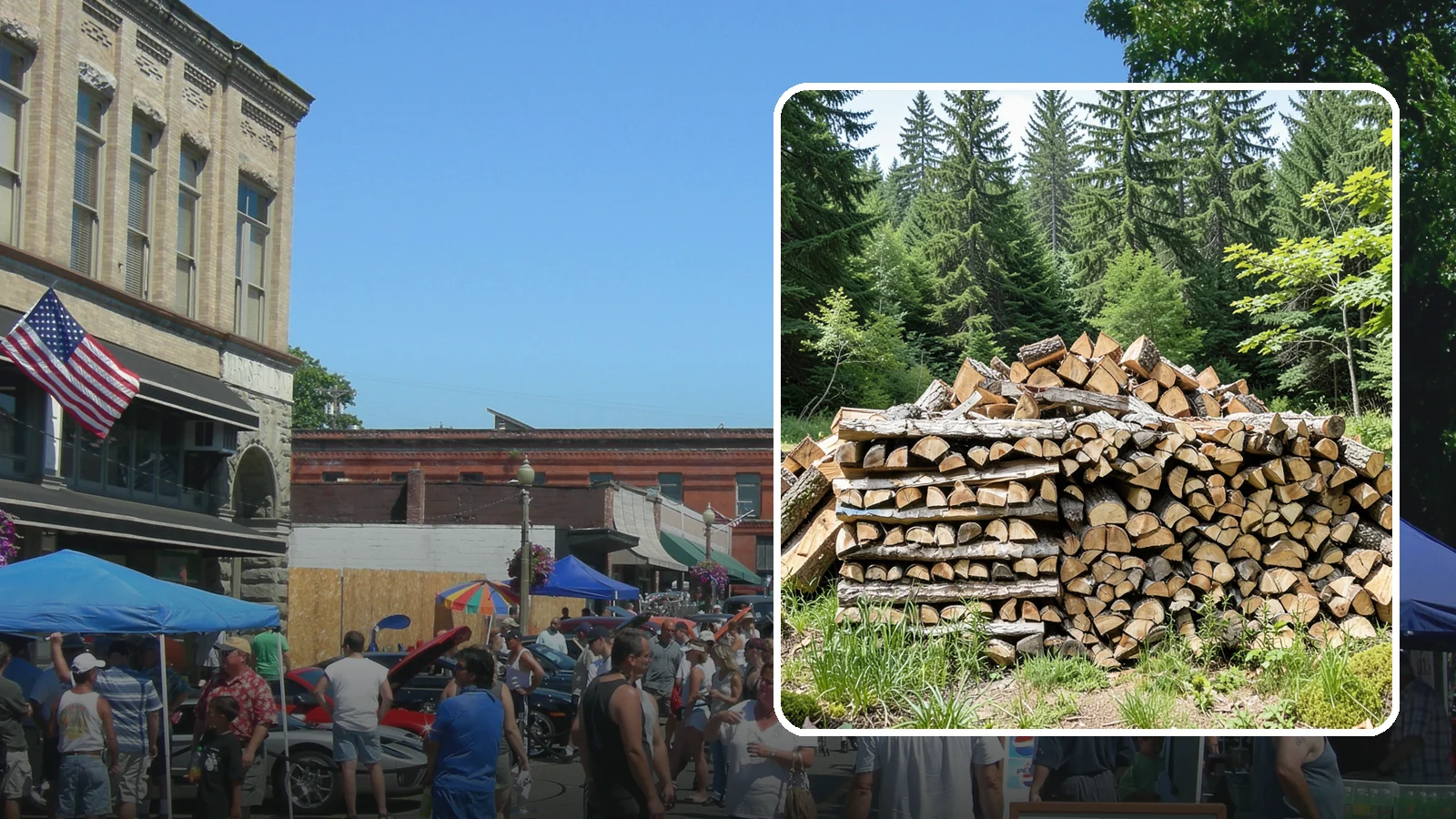 Wood Chip Cleanup in Snohomish, Snohomish County, WA - We remove the chips and fine splitting fragments left behind wherever firewood is cut, split, or handled.