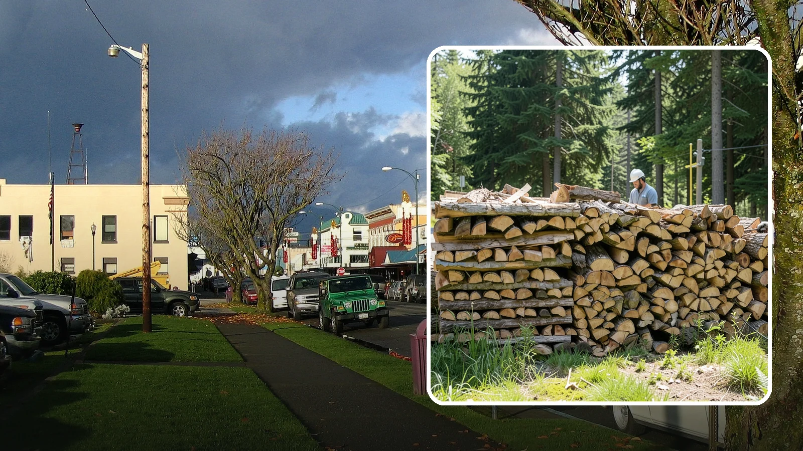 Wood Stove Firewood in Arlington, Snohomish County, WA - Firewood cut and split to load efficiently into a wood stove for long, steady heat.