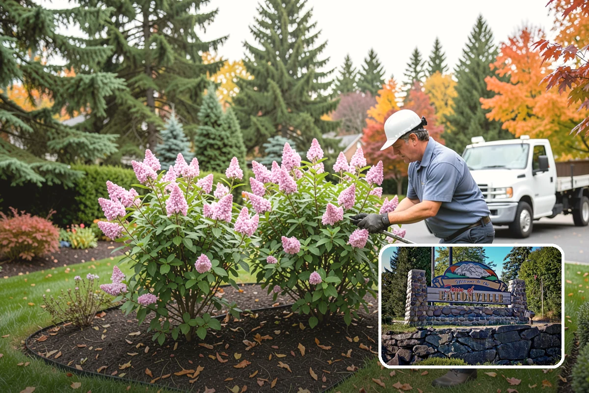 Accent Lighting in Eatonville, Pierce County, WA - Showcases trees, features, and architecture