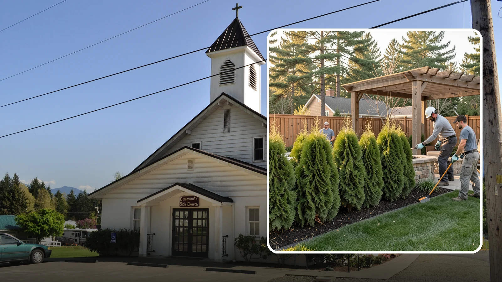 Arborvitae Trimming in Concrete, Skagit County, WA - Professional arborvitae trimming that keeps your privacy screen dense, upright, and healthy through Western Washington's wet...