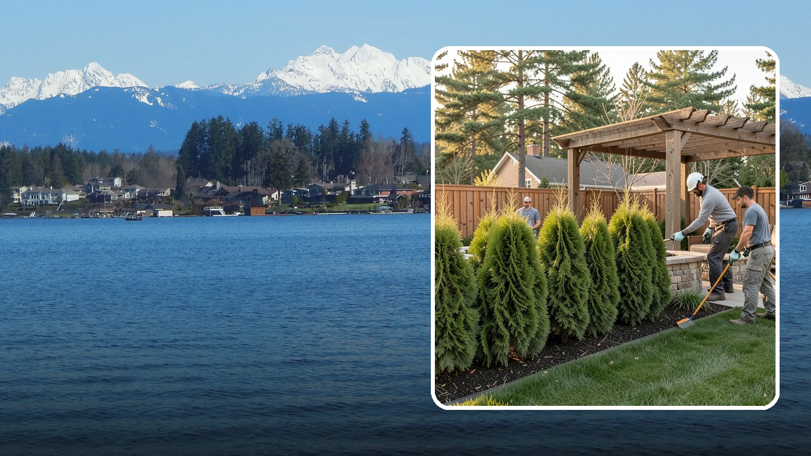 Arborvitae Trimming in Lake Stevens, Snohomish County, WA - Professional arborvitae trimming that keeps your privacy screen dense, upright, and healthy through Western Washington's wet...