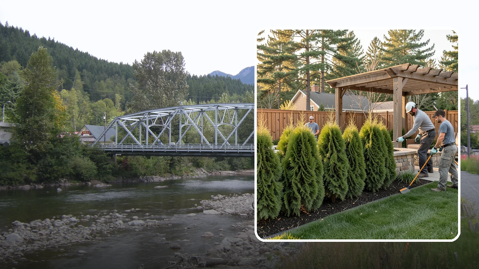 Arborvitae Trimming in Skykomish, King County, WA - Professional arborvitae trimming that keeps your privacy screen dense, upright, and healthy through Western Washington's wet...