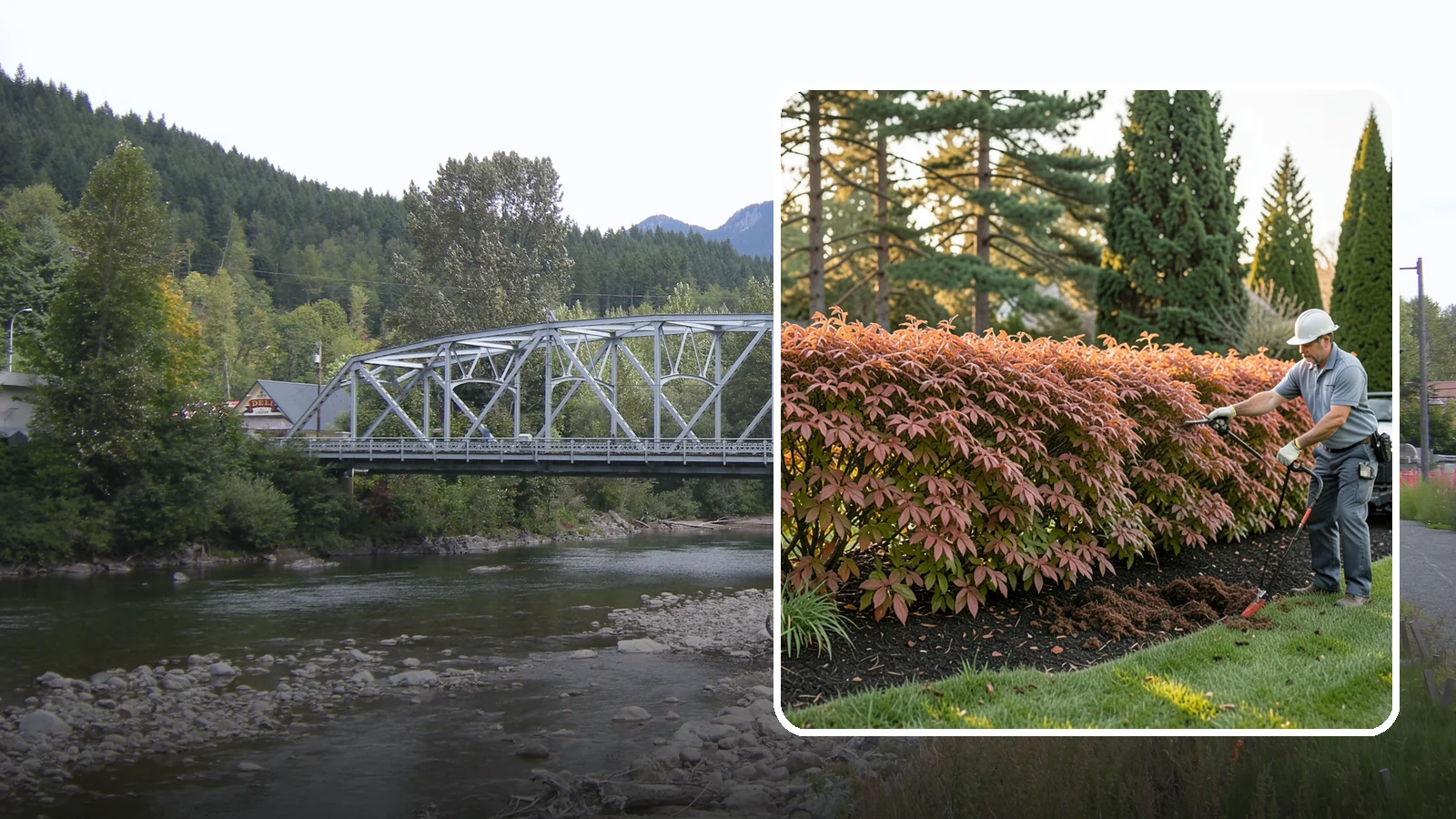 Beech Hedge Trimming in Skykomish, King County, WA - Specialist beech hedge trimming that maintains dense summer green and the coppery winter leaves this deciduous hedge is loved for.