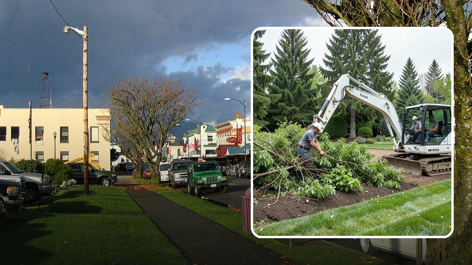 Brush Clearing in Arlington, Snohomish County, WA - Efficient brush and overgrowth clearing that reclaims tangled areas and reduces fire and pest risk.