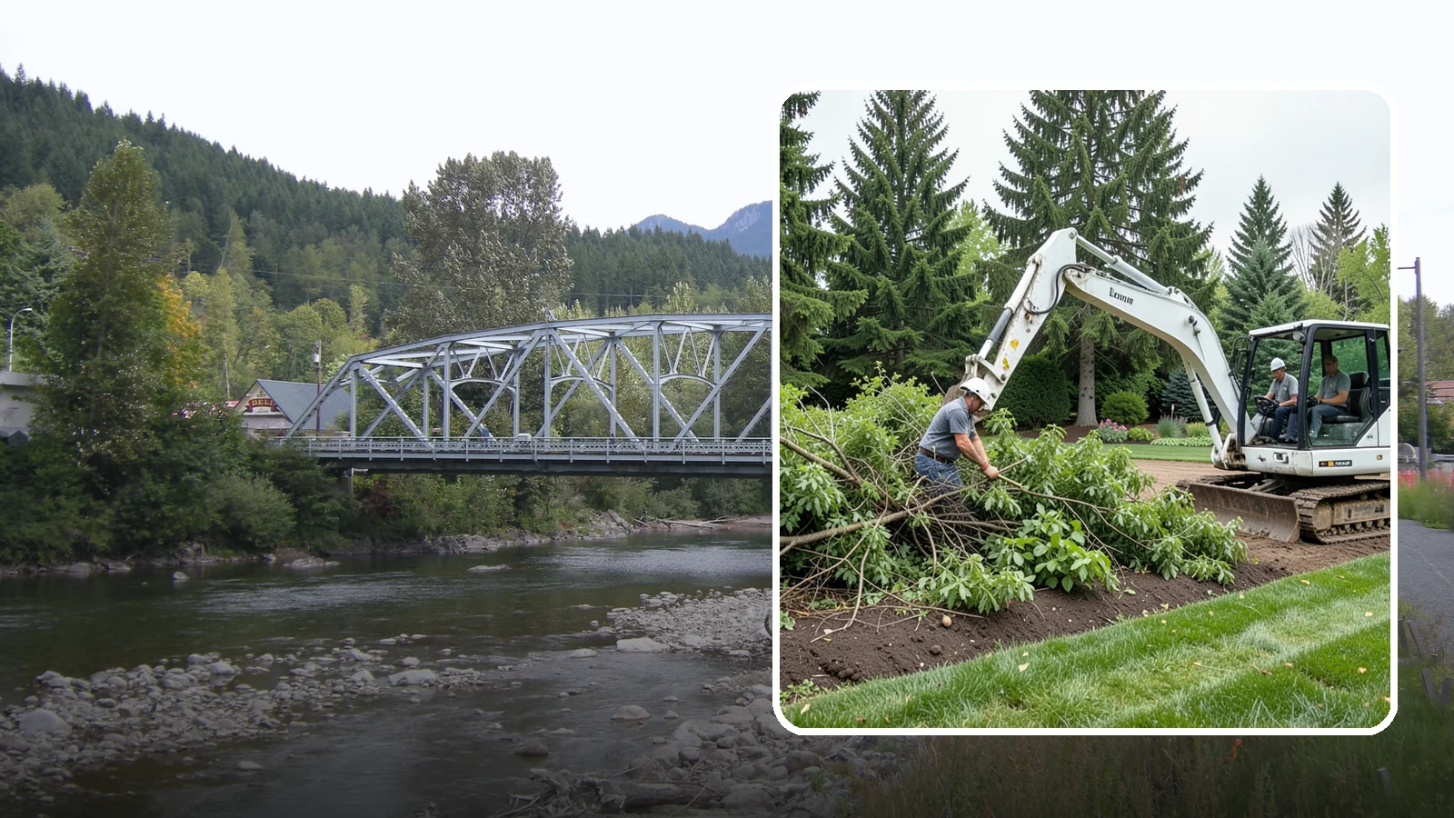 Brush Clearing in Skykomish, King County, WA - Efficient brush and overgrowth clearing that reclaims tangled areas and reduces fire and pest risk.