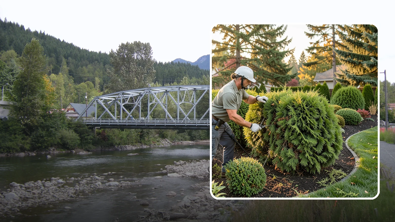Cedar Hedge Trimming in Skykomish, King County, WA - Attentive cedar hedge trimming that keeps this Northwest-native evergreen dense, aromatic, and free of the brown gaps that never...