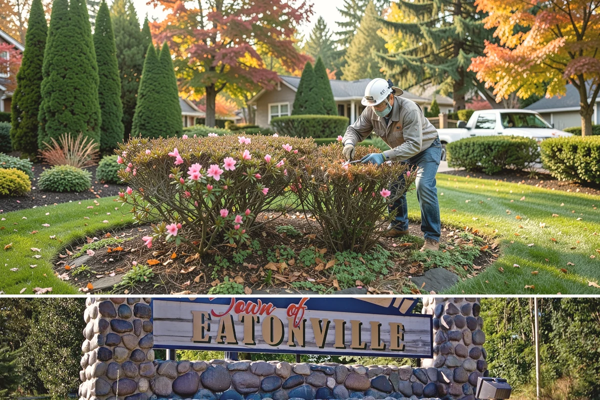 Concrete Patio Installation in Eatonville, Pierce County, WA - Late spring through early fall offers the driest windows for pouring and curing, since sustained PNW rain and near-freezing...