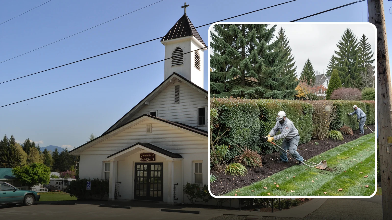 Hedge Planting in Concrete, Skagit County, WA - Living privacy and boundary hedges planted at proper spacing for fast, full screening.