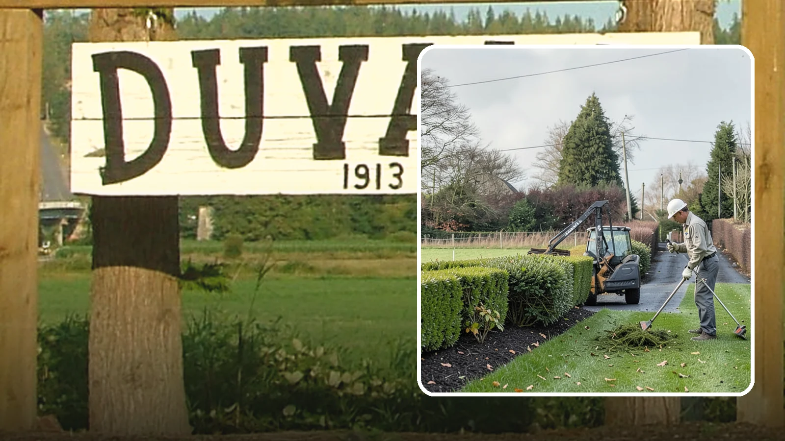 Hedge Trimming in Duvall, King County, WA - Precise hedge trimming that keeps hedges dense, healthy, and sharply shaped year after year.