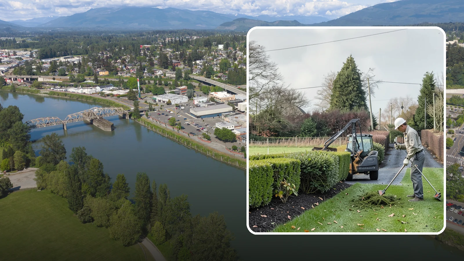 Hedge Trimming in Mount Vernon, Skagit County, WA - Precise hedge trimming that keeps hedges dense, healthy, and sharply shaped year after year.