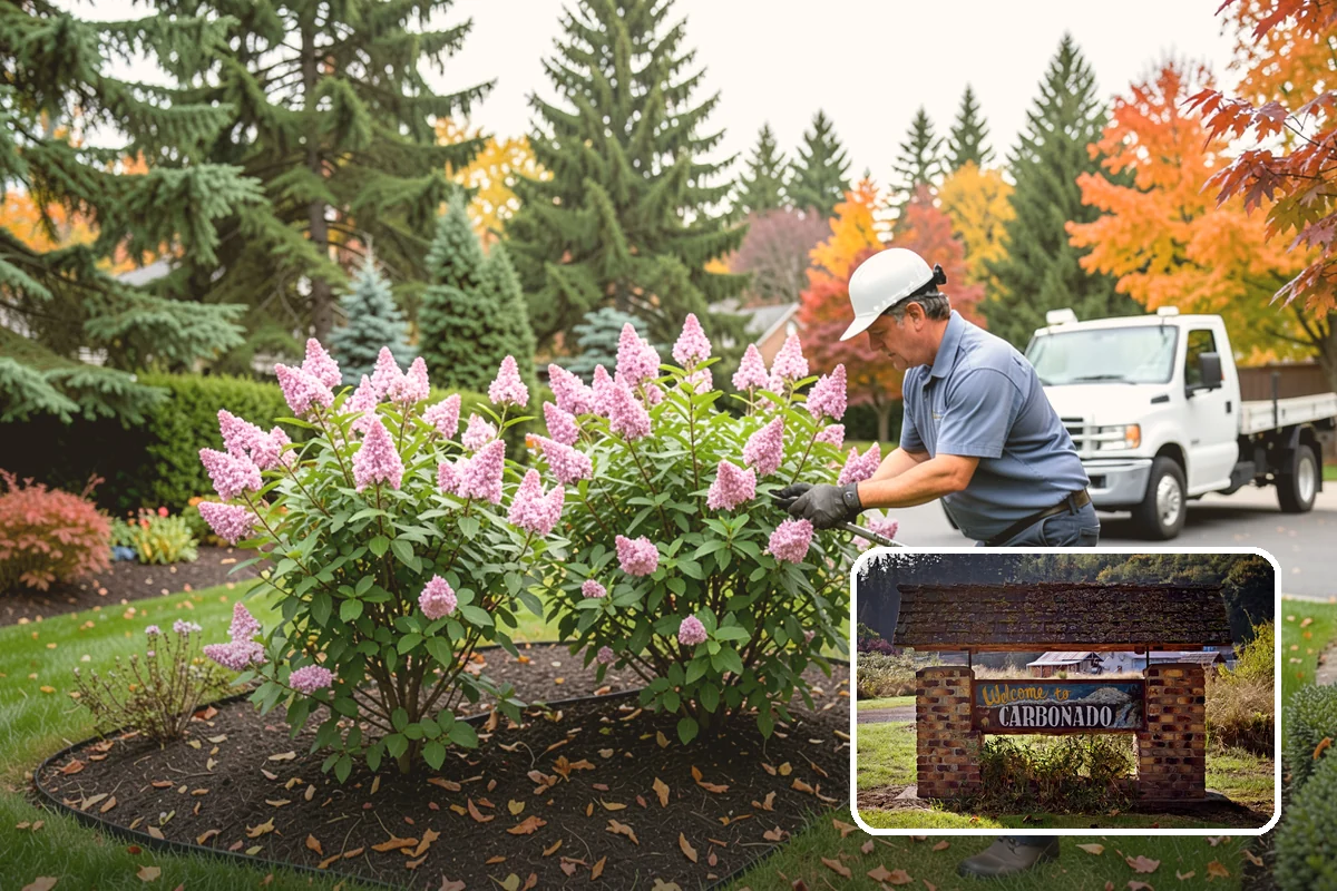 Hydroseeding in Carbonado, Pierce County, WA - Fast, uniform germination across large areas