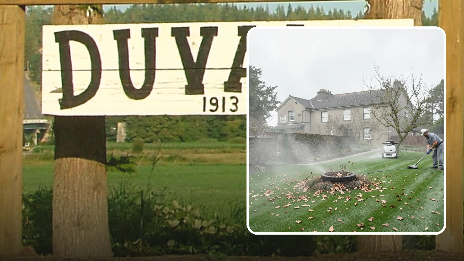 Lawn Blowing in Duvall, King County, WA - Clear fallen leaves, fir needles, and yard debris from your turf and hardscapes with thorough power blowing.
