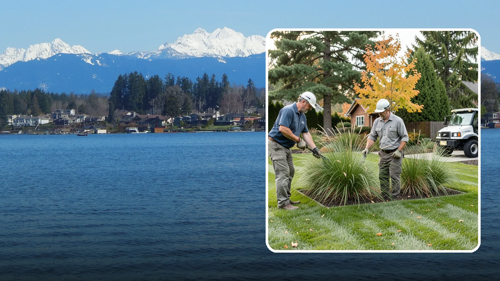 Ornamental Grass Cutting in Lake Stevens, Snohomish County, WA - Seasonal cutback of ornamental grasses to clear old growth and make way for fresh spring foliage.