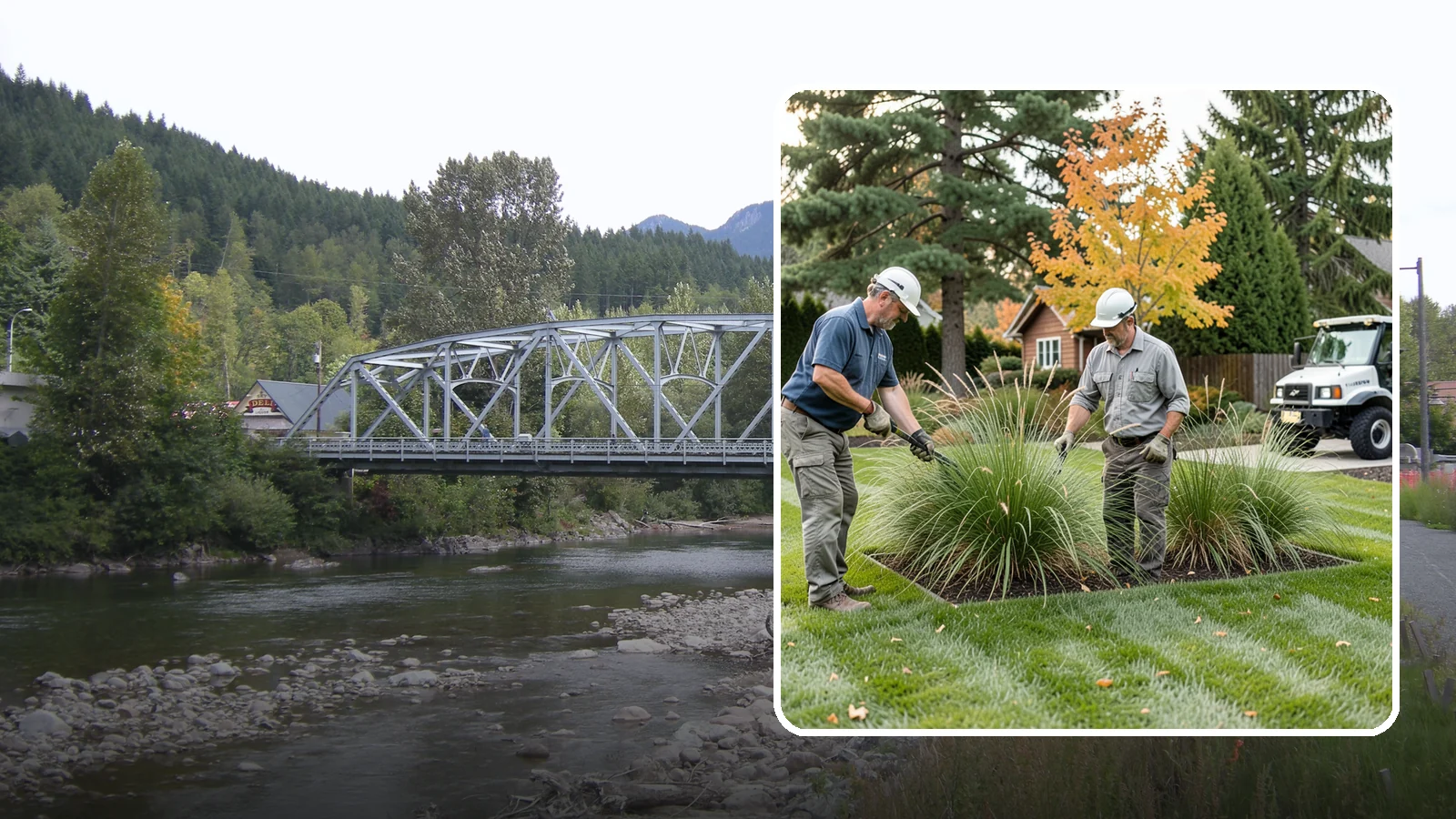 Ornamental Grass Cutting in Skykomish, King County, WA - Seasonal cutback of ornamental grasses to clear old growth and make way for fresh spring foliage.