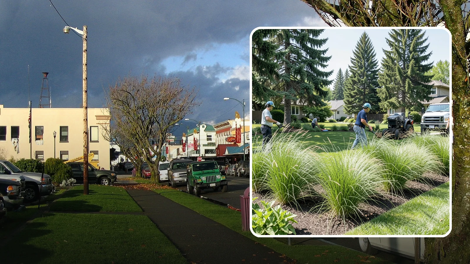 Ornamental Grass Planting in Arlington, Snohomish County, WA - We plant ornamental grasses that add graceful movement and texture to Northwest landscapes.