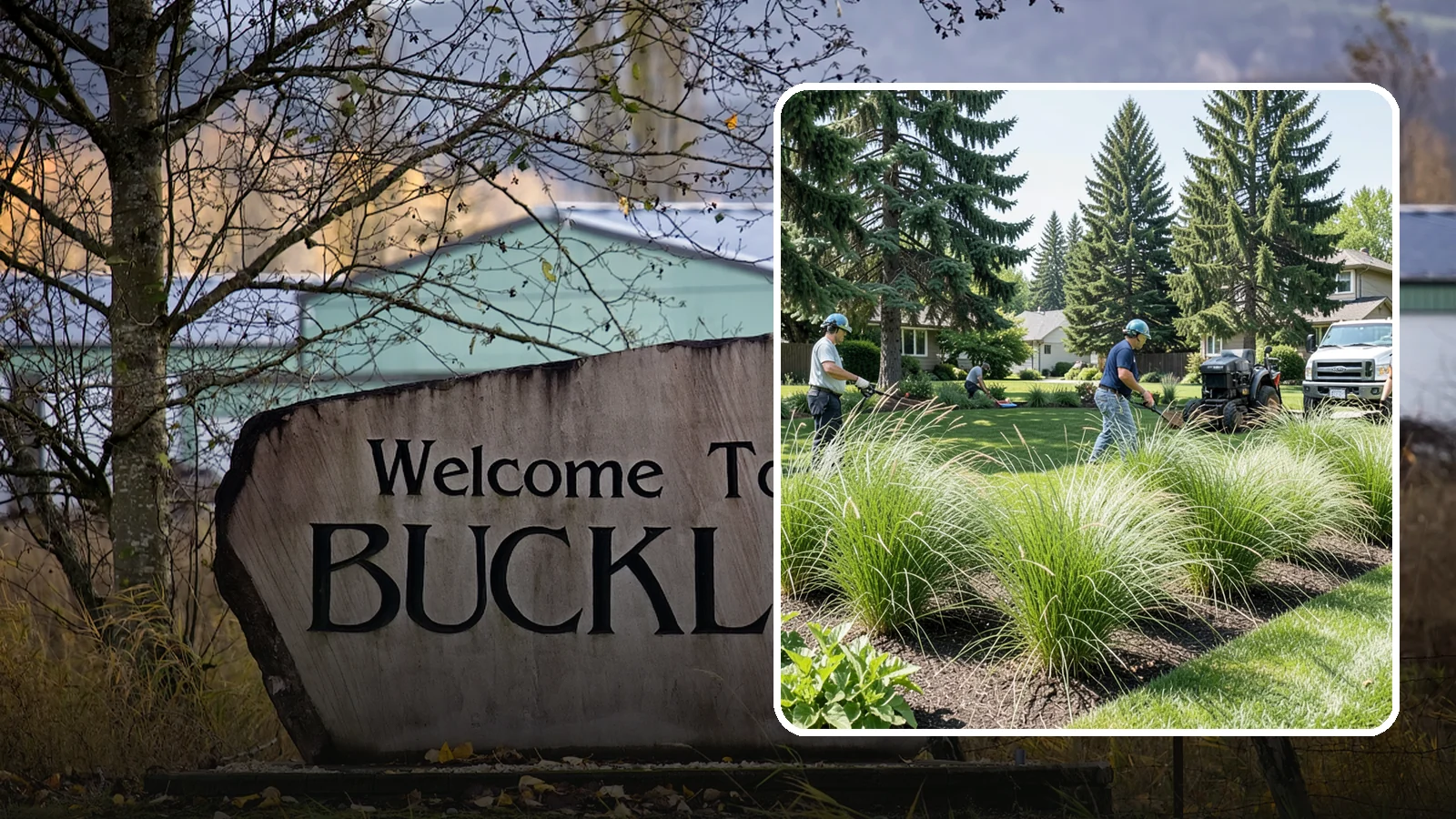 Ornamental Grass Planting in Buckley, Pierce County, WA - We plant ornamental grasses that add graceful movement and texture to Northwest landscapes.