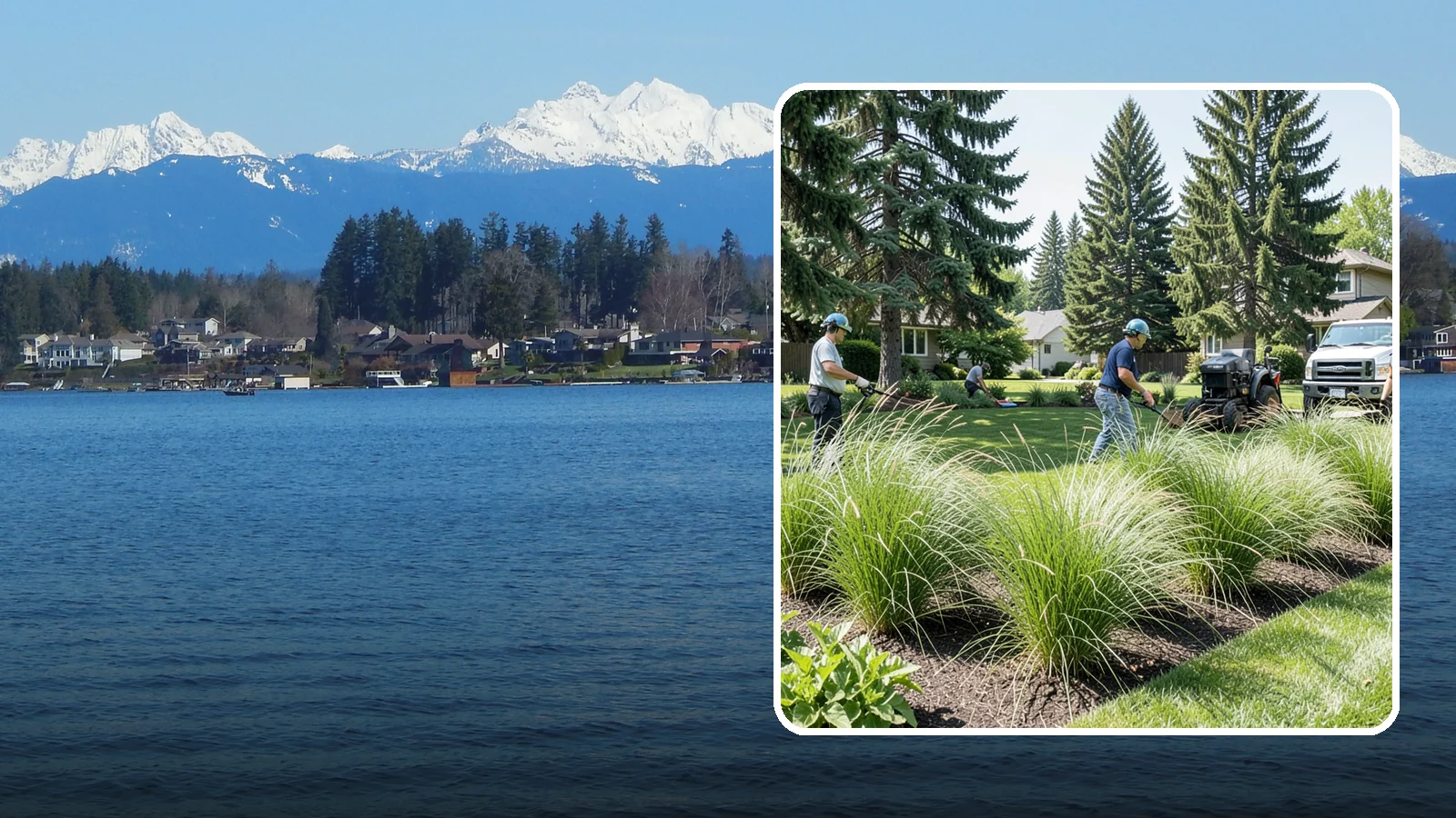Ornamental Grass Planting in Lake Stevens, Snohomish County, WA - We plant ornamental grasses that add graceful movement and texture to Northwest landscapes.